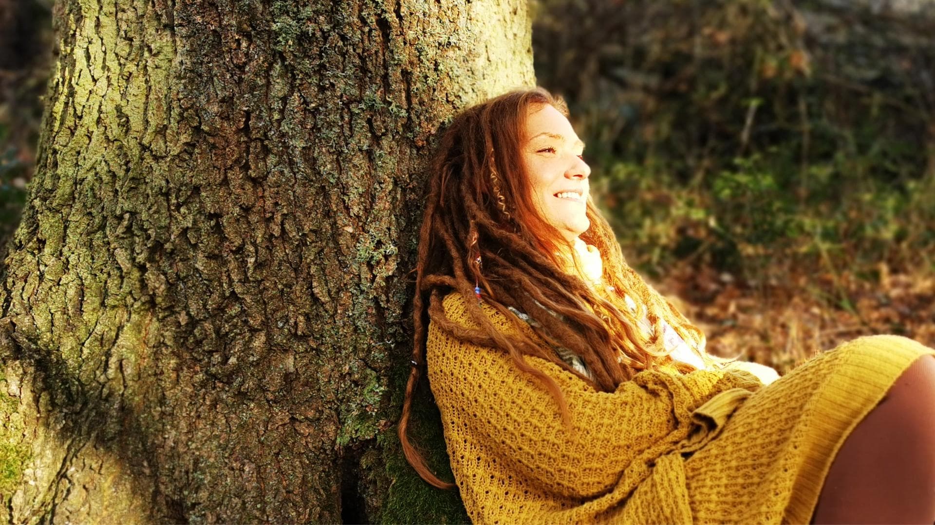 Baummeditation - Ein Weg zu inneren Fülle