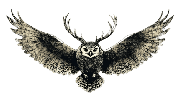 Eulen-Symbol der Naturheiler Ausbildung