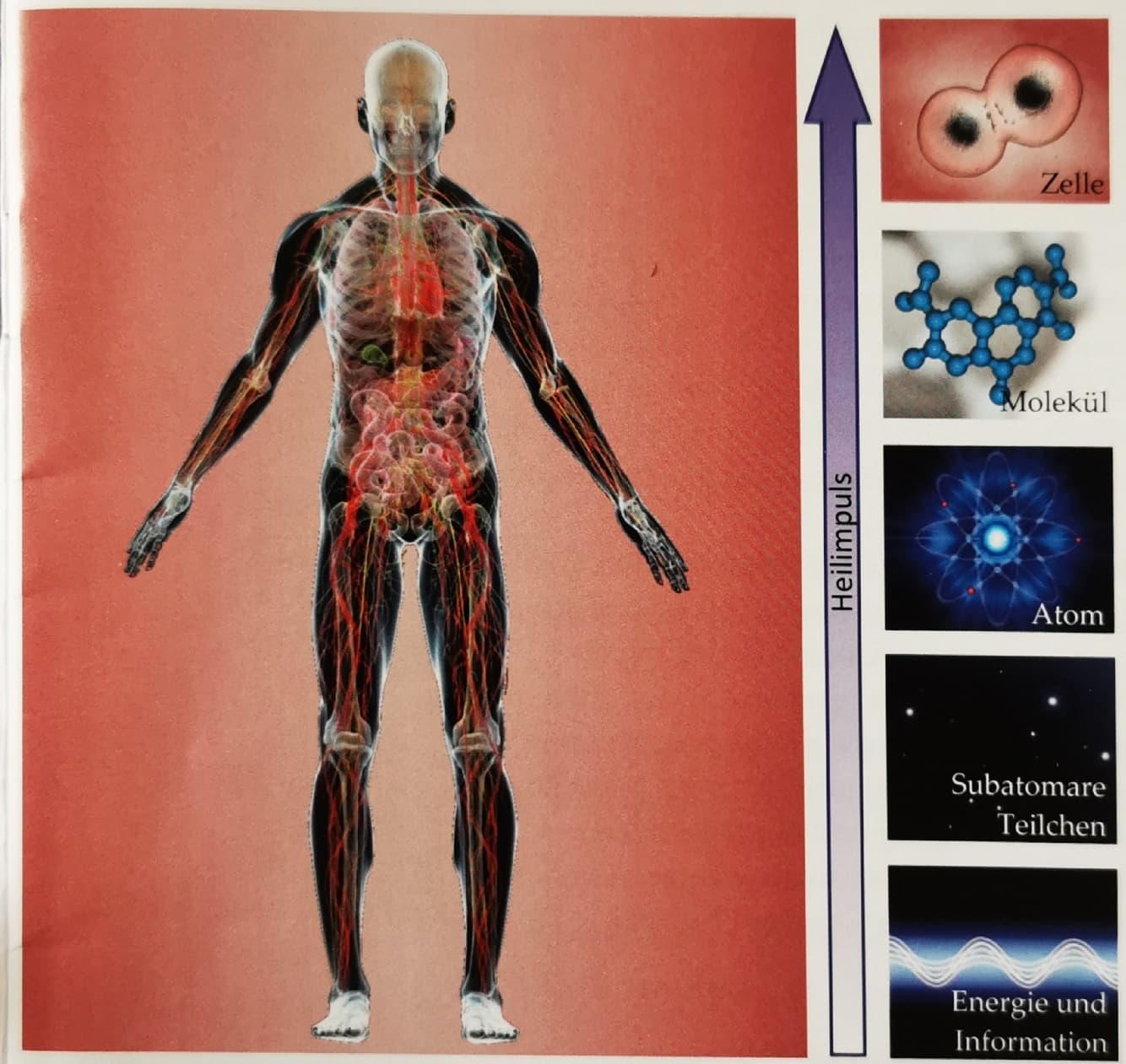 Modul 1 – Heilimpuls-Hierarchie